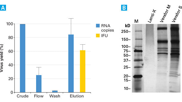 Lentivirus purification kits - Gene function - Takara Bio
