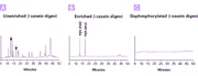 Phosphopeptide Enrichment Spin Columns - Protein research - Takara Bio