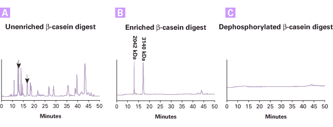 Phosphopeptide Enrichment Spin Columns - Protein research - Takara Bio