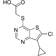 LP-922056