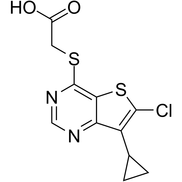 LP-922056
