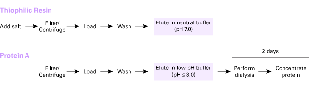 Antibody purification resins—an alternative to Protein A - Protein research - Takara Bio