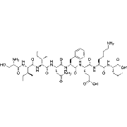OVA Peptide(257-264)