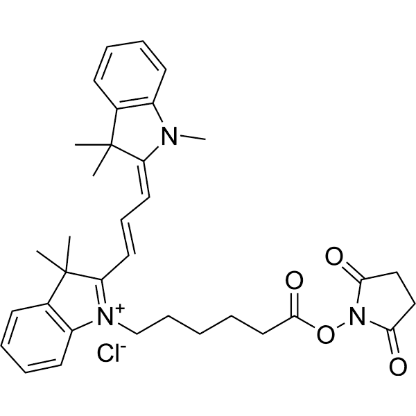 Cy3 NHS ester