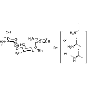 Gentamicin