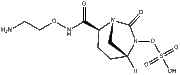 Nacubactam