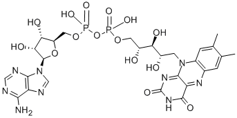 Flavin Adenine Dinucleotide