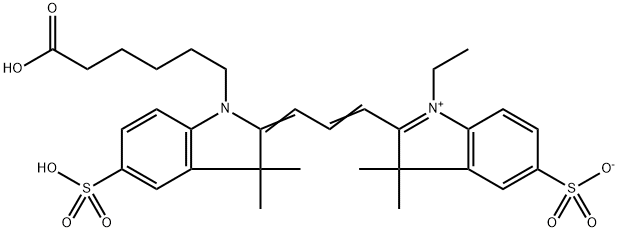 CY3