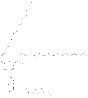 DSPE-mPEG2000