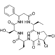 Astin C