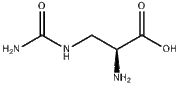 L-Albizziin