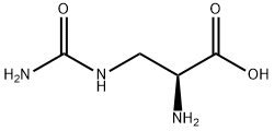 L-Albizziin