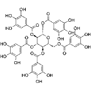 1,2,3,4,6-pentagalloylglucose