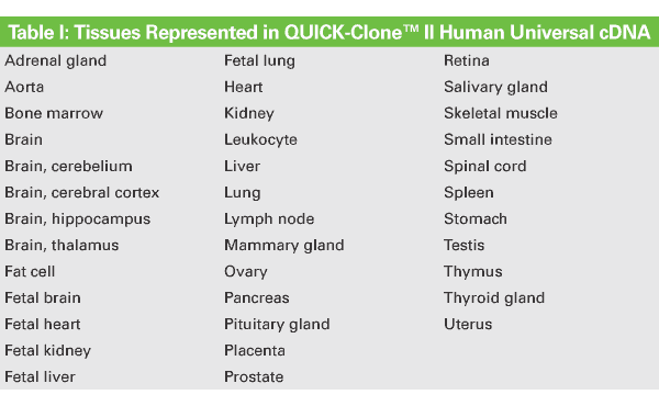 Tissue-specific human cDNA: brain & CNS - mRNA and cDNA synthesis - Takara Bio