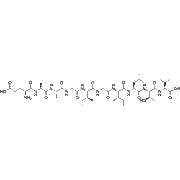 MART-1 (26-35) (human)
