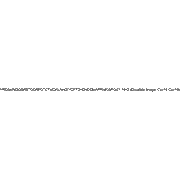 Adrenomedullin (rat)