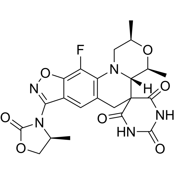 Zoliflodacin