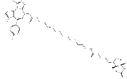 Biotinylated-JQ1