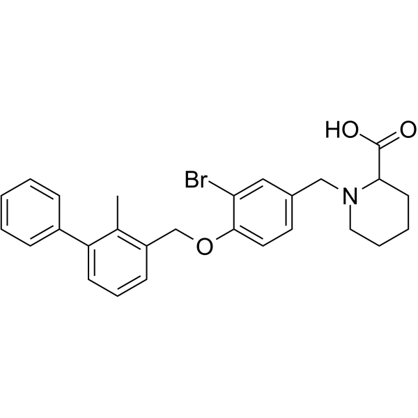 BMS-8