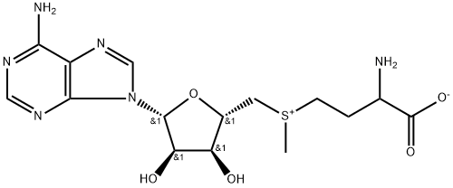 S-Adenosyl-L-Methtonine