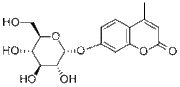 4-methylumbelliferyl α-D-glucopyranoside
