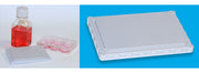 30-minute lentiviral transduction without polybrene - Gene function - Takara Bio
