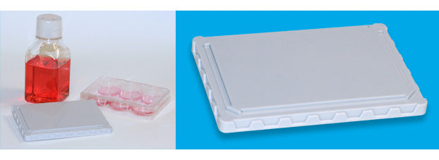 30-minute lentiviral transduction without polybrene - Gene function - Takara Bio