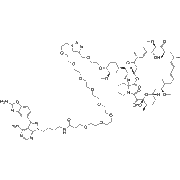 RapaLink-1