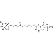 Sulfo-NHS-LC-Biotin sodium