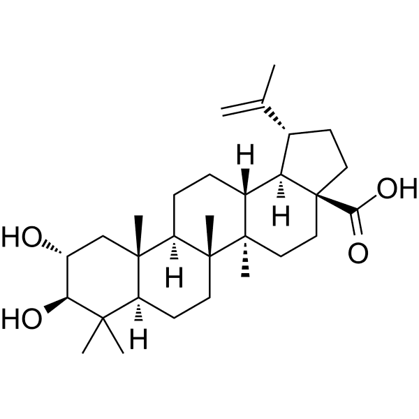 Alphitolic acid