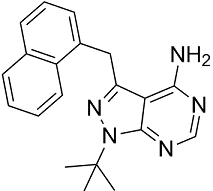 1NM-PP1