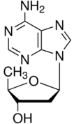 2',5'-Dideoxyadenosine