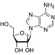 2'-C-Methyladenosine