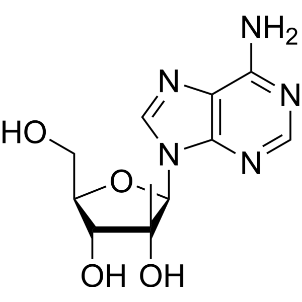 2'-C-Methyladenosine