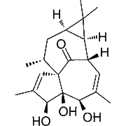 20-Deoxyingenol
