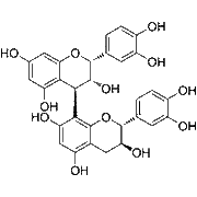 Procyanidin-B1