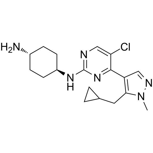Casein Kinase inhibitor A51