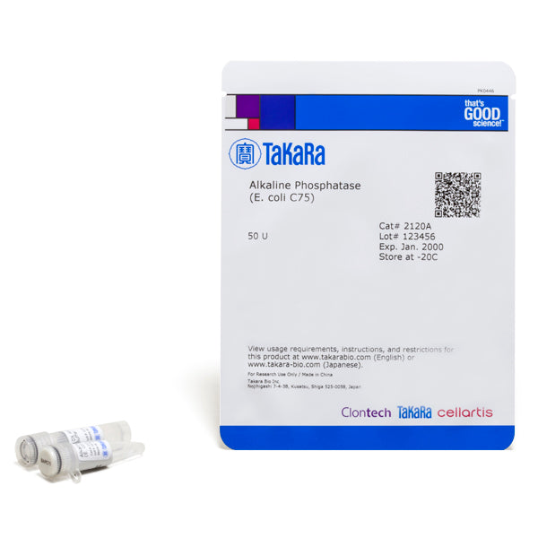 Bacterial alkaline phosphatase (E. coli) - Cloning - Takara Bio