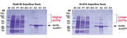 His-tagged recombinant protein purification—His60 Ni Superflow Resin - Protein research - Takara Bio