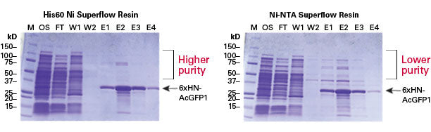His-tagged recombinant protein purification—His60 Ni Superflow Resin - Protein research - Takara Bio