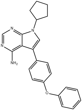 RK 24466