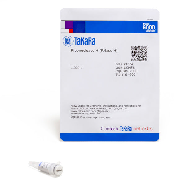 Ribonuclease H (RNase H) - Cloning - Takara Bio