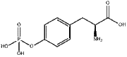 O-Phospho-L-tyrosine