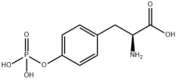 O-Phospho-L-tyrosine