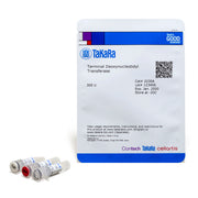 Terminal Deoxynucleotidyl Transferase (TdT) - Cloning - Takara Bio