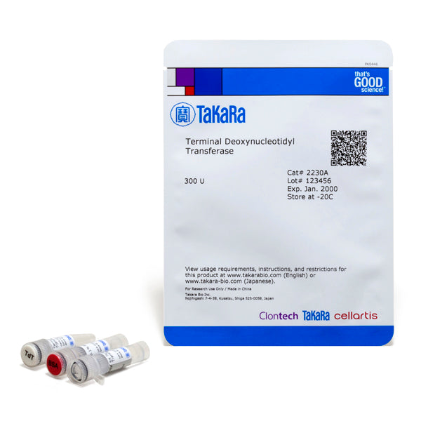 Terminal Deoxynucleotidyl Transferase (TdT) - Cloning - Takara Bio