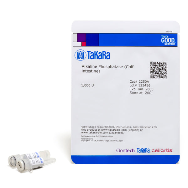 Calf intestinal alkaline phosphatase (CIAP) - Cloning - Takara Bio