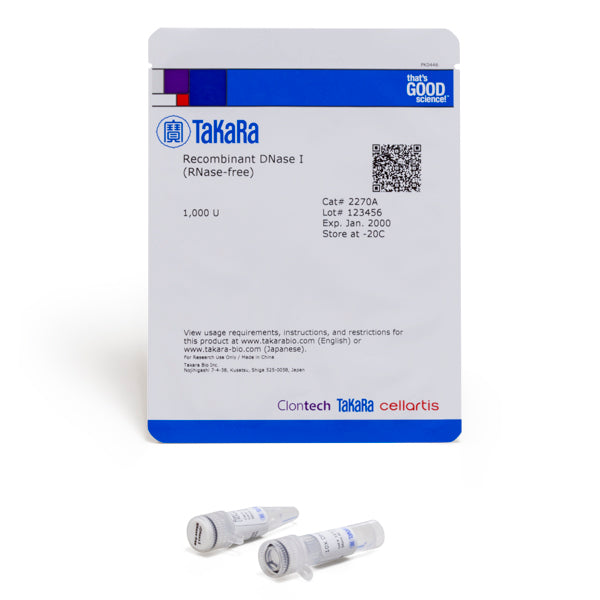 DNase I (RNase-free) - Cloning - Takara Bio