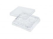 4 Well Tissue Culture Plate
