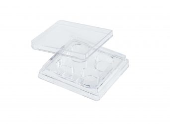 4 Well Tissue Culture Plate